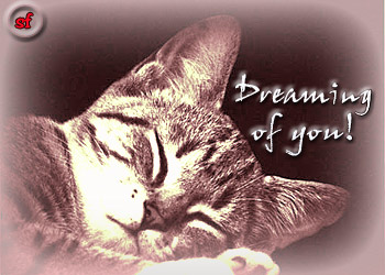 Dreaming of you!